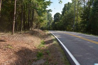 9171 BILL JONES ROAD, Warrior, AL 35180