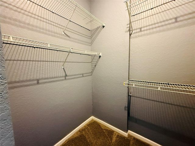 17114 CARRINGTON PARK DRIVE 219, Tampa, FL 33647