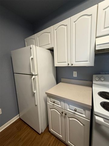 17114 CARRINGTON PARK DRIVE 219, Tampa, FL 33647