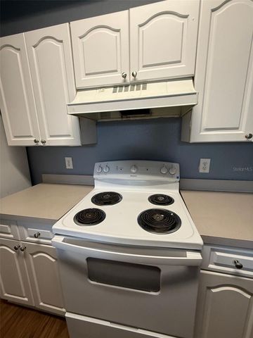 17114 CARRINGTON PARK DRIVE 219, Tampa, FL 33647