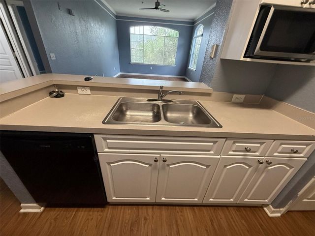 17114 CARRINGTON PARK DRIVE 219, Tampa, FL 33647