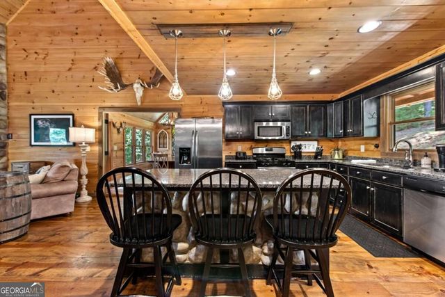 383 River Escape Drive, Ellijay, GA 30540