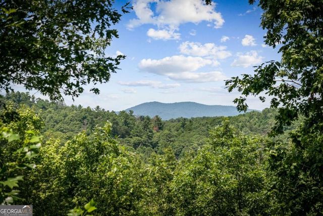 383 River Escape Drive, Ellijay, GA 30540