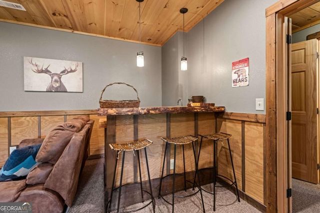 383 River Escape Drive, Ellijay, GA 30540