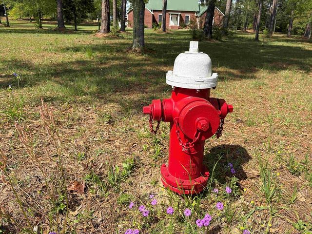 551 Baxter, Ashford, AL 36312