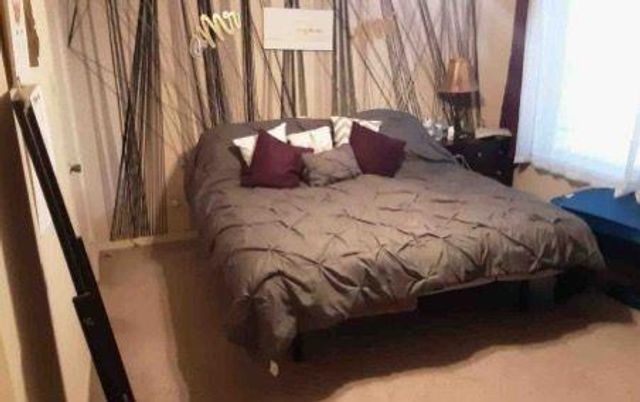 10113 Spring Place Drive, Houston, TX 77070