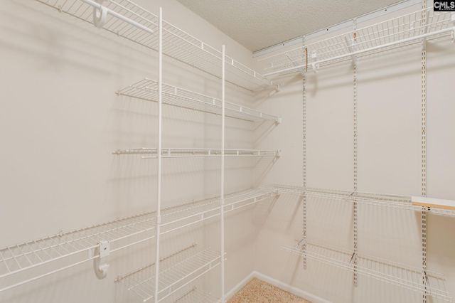 88 Running Deer Road, Blythewood, SC 29016