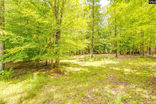 88 Running Deer Road, Blythewood, SC 29016