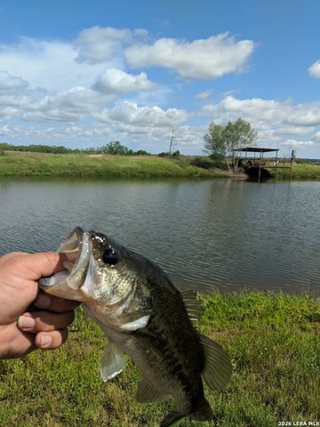 900 N Graytown Road, St Hedwig, TX 78152