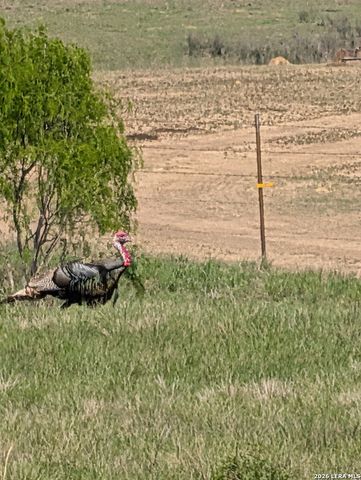 900 N Graytown Road, St Hedwig, TX 78152