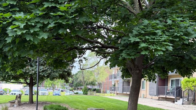 5400 Walnut Avenue 803, Downers Grove, IL 60515