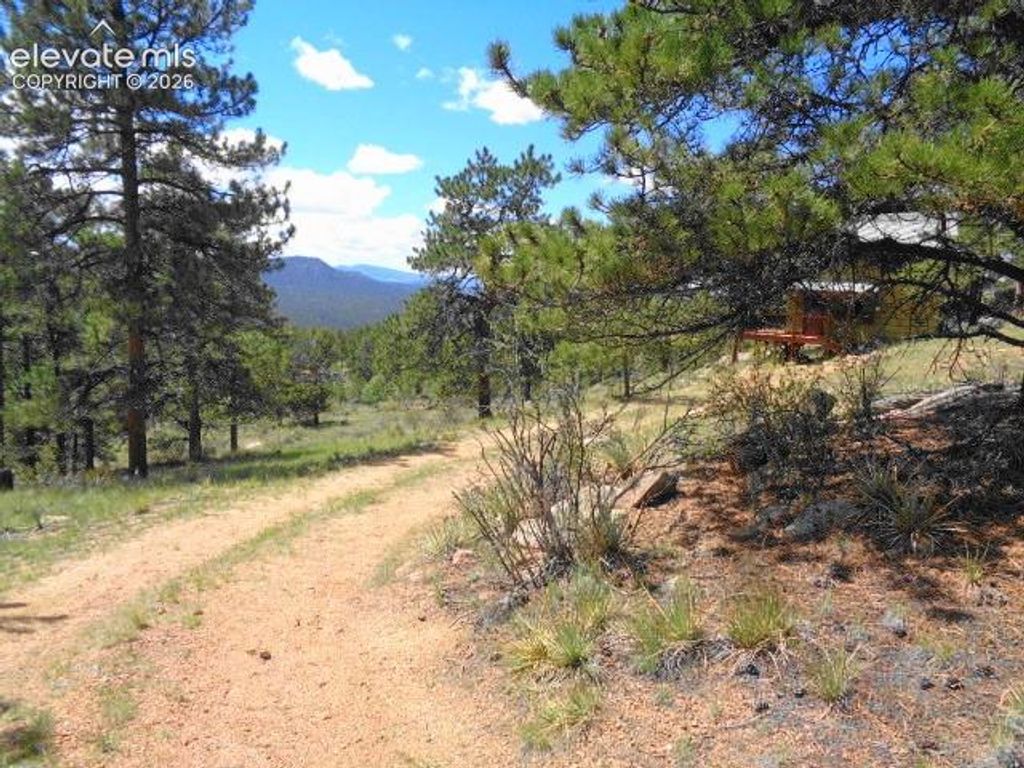 549 Circle Drive, Florissant, CO 80816 — photo 3