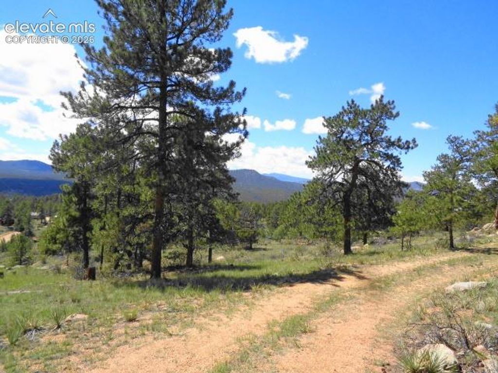549 Circle Drive, Florissant, CO 80816 — photo 5