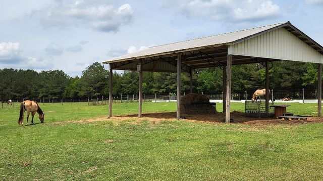 4273 County Road 36, Hartford, AL 36344