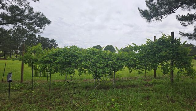 4273 County Road 36, Hartford, AL 36344