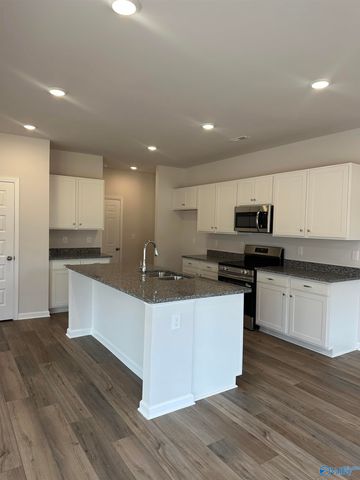 227 Roman Randall Road, New Market, AL 35761