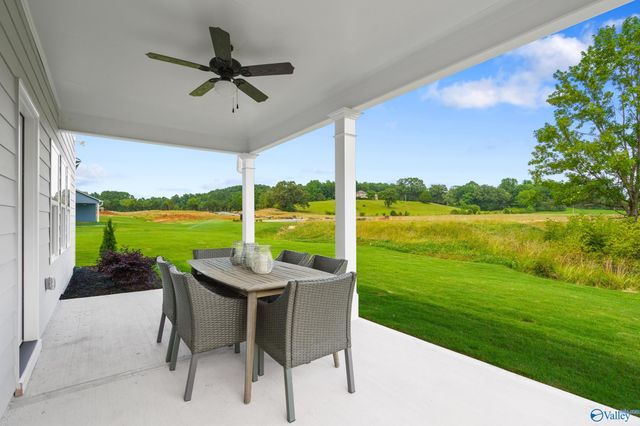 227 Roman Randall Road, New Market, AL 35761