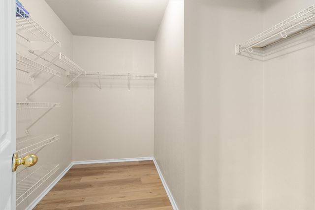 1113 Tudor House RD, Pflugerville, TX 78660