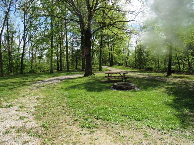 7210 Newkirk Road, Mountain Grove, MO 65711