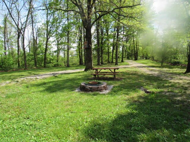 7210 Newkirk Road, Mountain Grove, MO 65711