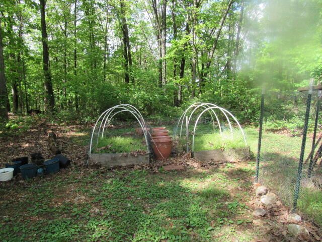 7210 Newkirk Road, Mountain Grove, MO 65711