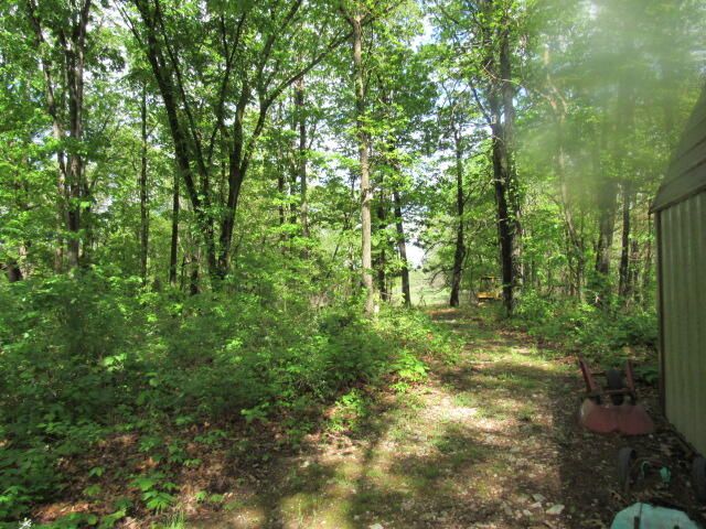 7210 Newkirk Road, Mountain Grove, MO 65711