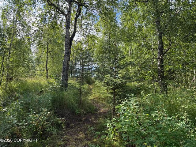 4650 E Birch Drive, Wasilla, AK 99654