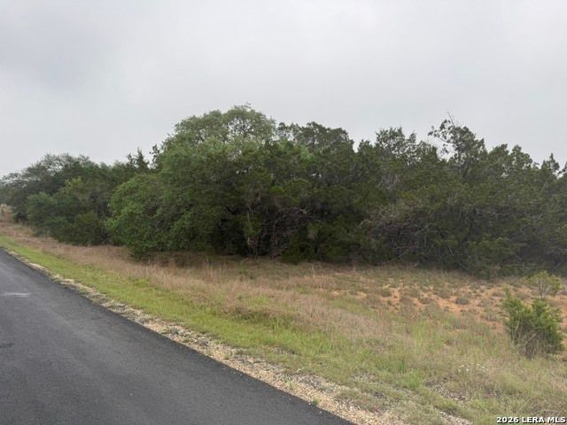 103 Buttermilk, Spring Branch, TX 78070