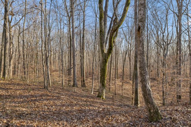 5513 Highway 41 A, Joelton, TN 37080