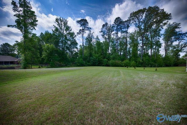 175 Dustin Lane, Madison, AL 35757