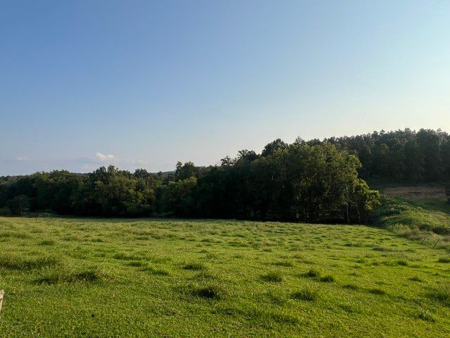 0 Wilkerson Road, Adolphus, KY 42120