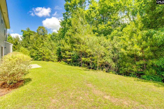 72 Black Kettle Court, Blythewood, SC 29016