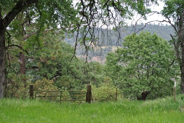 6385 Mckeon Ponderosa Way, Foresthill, CA 95631