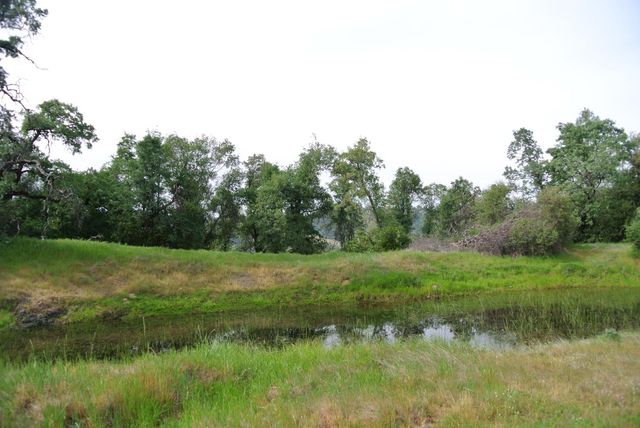 6385 Mckeon Ponderosa Way, Foresthill, CA 95631