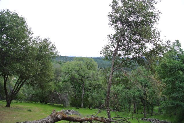 6385 Mckeon Ponderosa Way, Foresthill, CA 95631