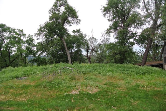 6385 Mckeon Ponderosa Way, Foresthill, CA 95631