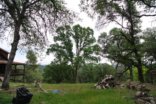 6385 Mckeon Ponderosa Way, Foresthill, CA 95631