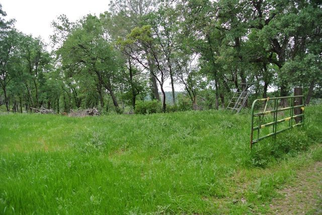 6385 Mckeon Ponderosa Way, Foresthill, CA 95631