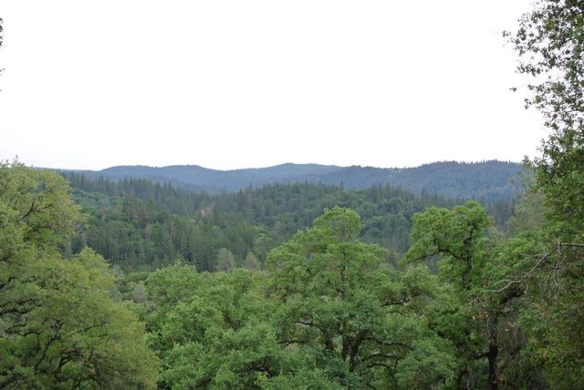 6385 Mckeon Ponderosa Way, Foresthill, CA 95631