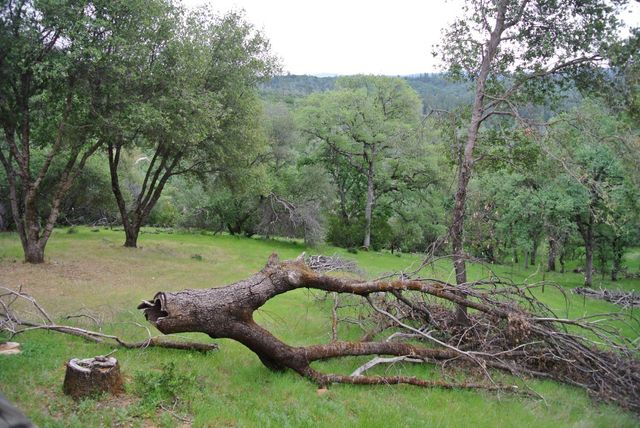 6385 Mckeon Ponderosa Way, Foresthill, CA 95631