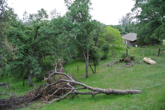 6385 Mckeon Ponderosa Way, Foresthill, CA 95631