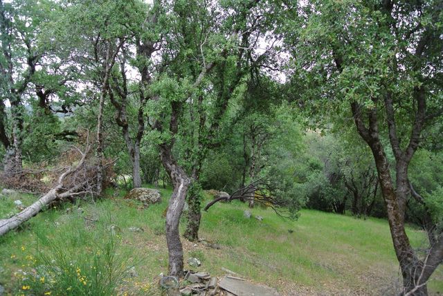 6385 Mckeon Ponderosa Way, Foresthill, CA 95631