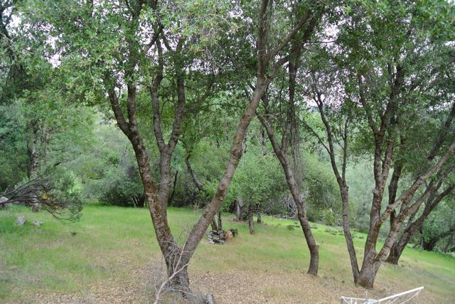 6385 Mckeon Ponderosa Way, Foresthill, CA 95631