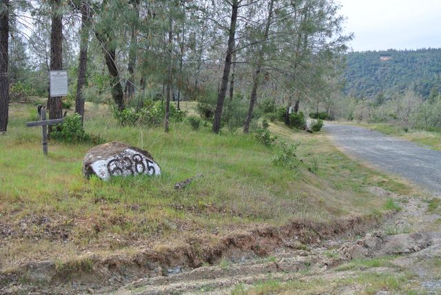 6385 Mckeon Ponderosa Way, Foresthill, CA 95631