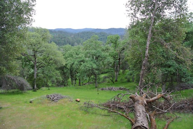 6385 Mckeon Ponderosa Way, Foresthill, CA 95631