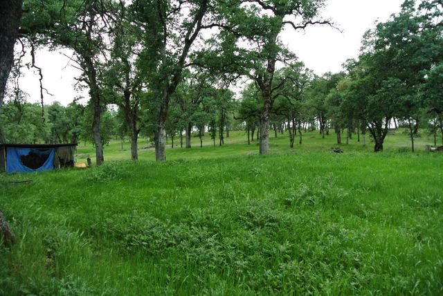 6385 Mckeon Ponderosa Way, Foresthill, CA 95631