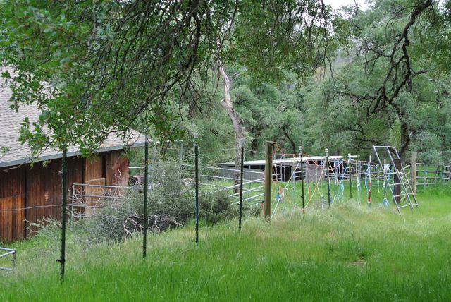 6385 Mckeon Ponderosa Way, Foresthill, CA 95631