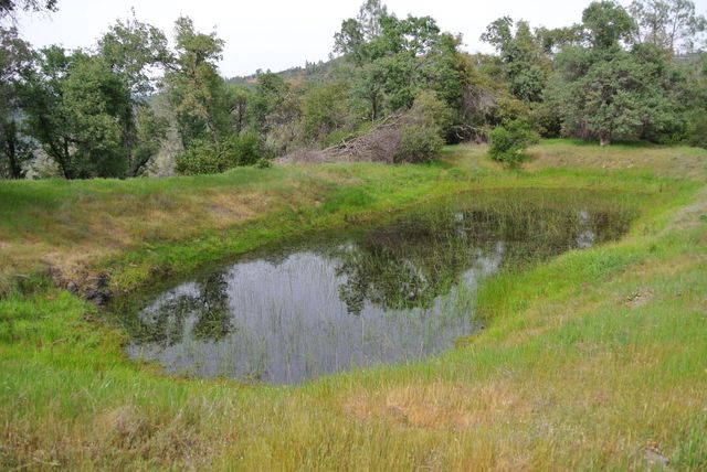 6385 Mckeon Ponderosa Way, Foresthill, CA 95631