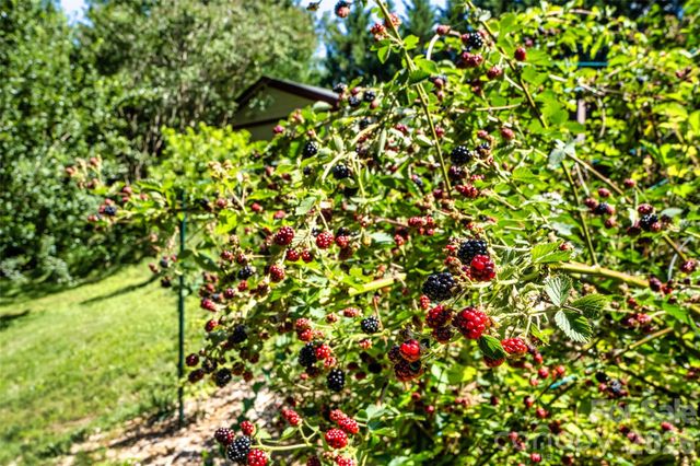 435 McMinn Road, Hendersonville, NC 28792