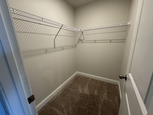 424 Palmetto Dr, Columbia, TN 38401